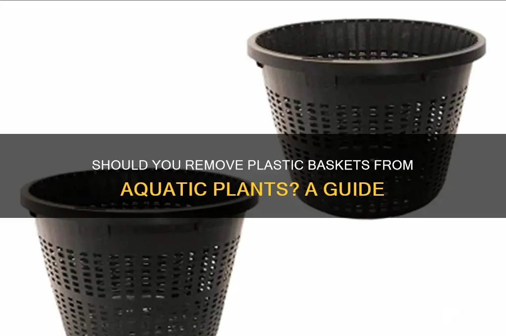 do you remove plastic basket from aquatic plants