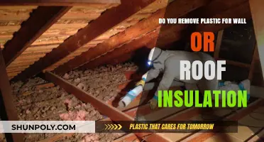 Should You Remove Plastic When Installing Wall or Roof Insulation?