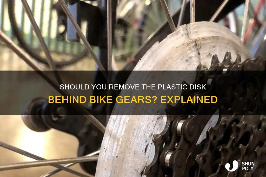 do you remove the plastic disk behind bike gears