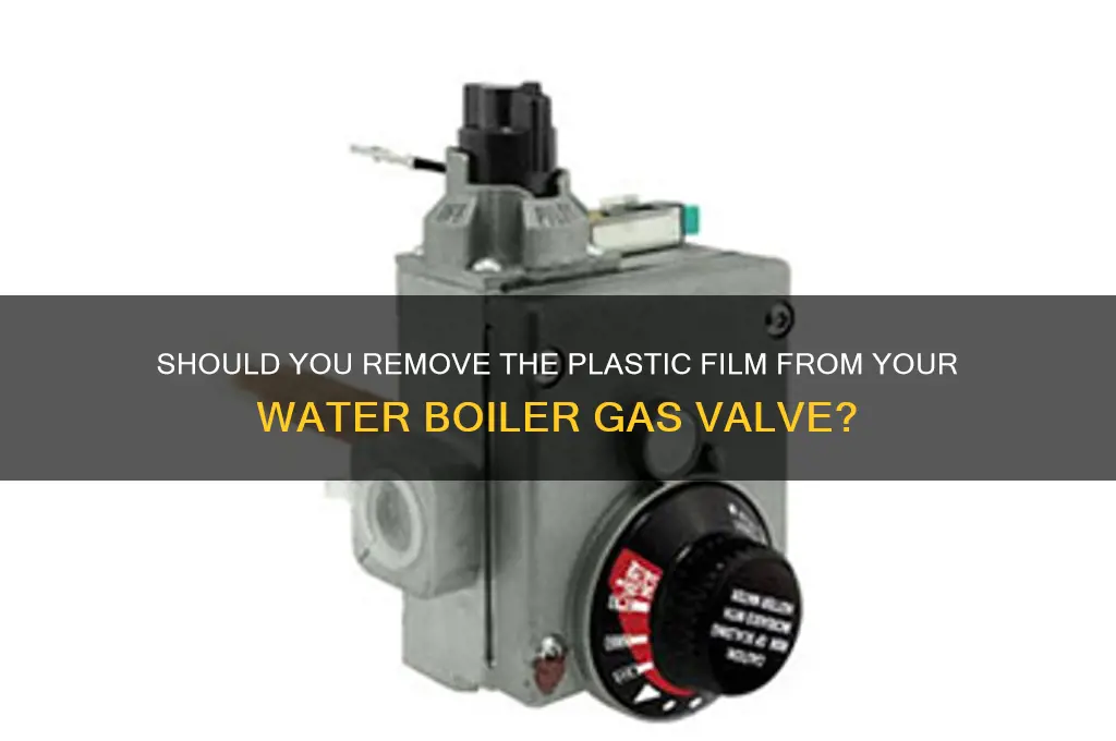 do you remove the plastic film water boiler gas valve