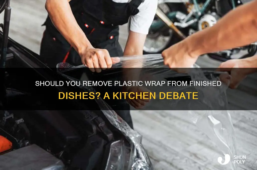do you remove the plastic from the finish dish