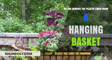 Should You Remove the Plastic Liner from Your Hanging Basket?