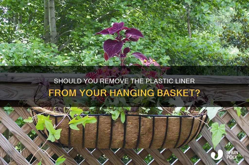 do you remove the plastic liner from a hanging basket