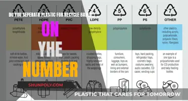 Mastering Plastic Recycling: Unraveling the Number Code Mystery