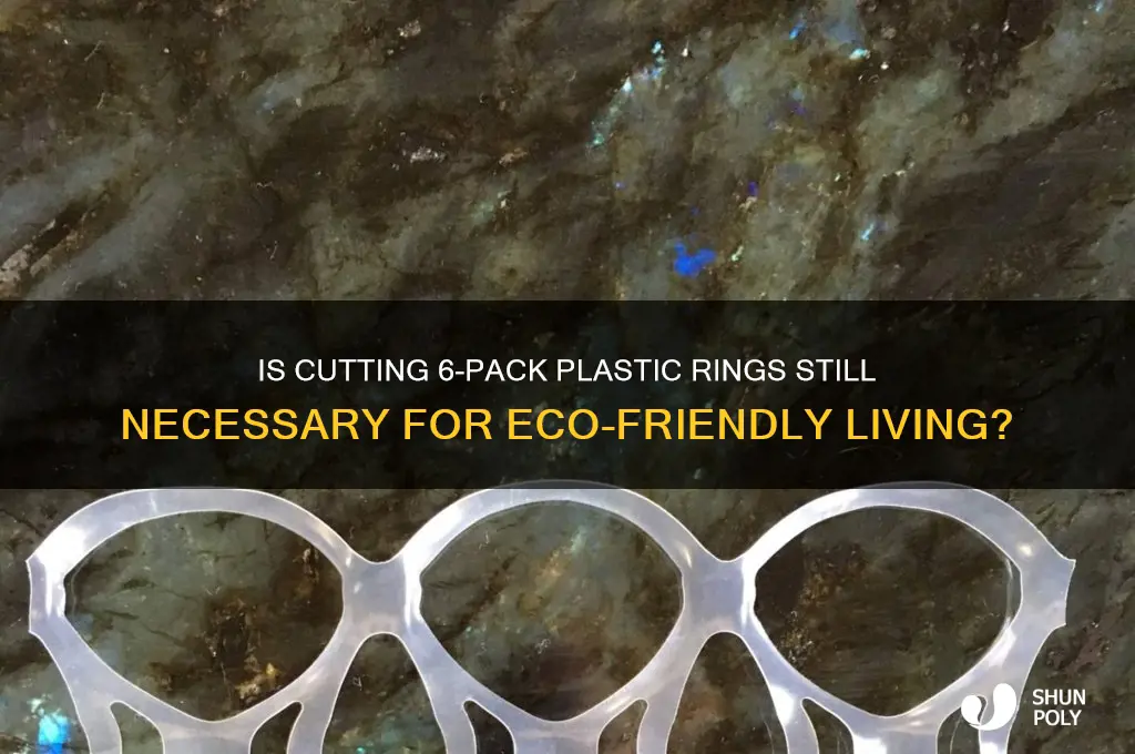 do you still need to cut your 6 pack plastic