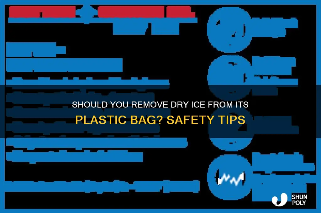 do you take dry ice out of the plastic bag