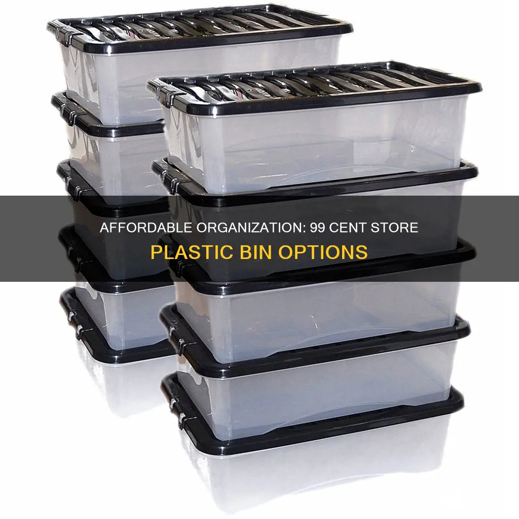 does 99 cent store have plastic bins