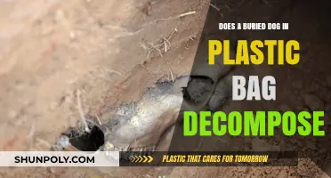 Buried Dog in Plastic Bag: Decomposition Process Explained