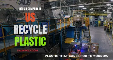 Unveiling America's Plastic Recycling Revolution: A Company's Impact