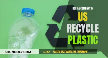 US Company's Innovative Plastic Recycling Solutions