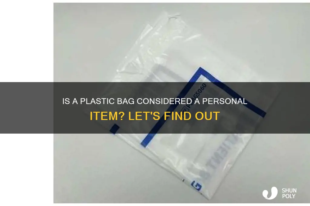 does a plastic bag count as a personal item