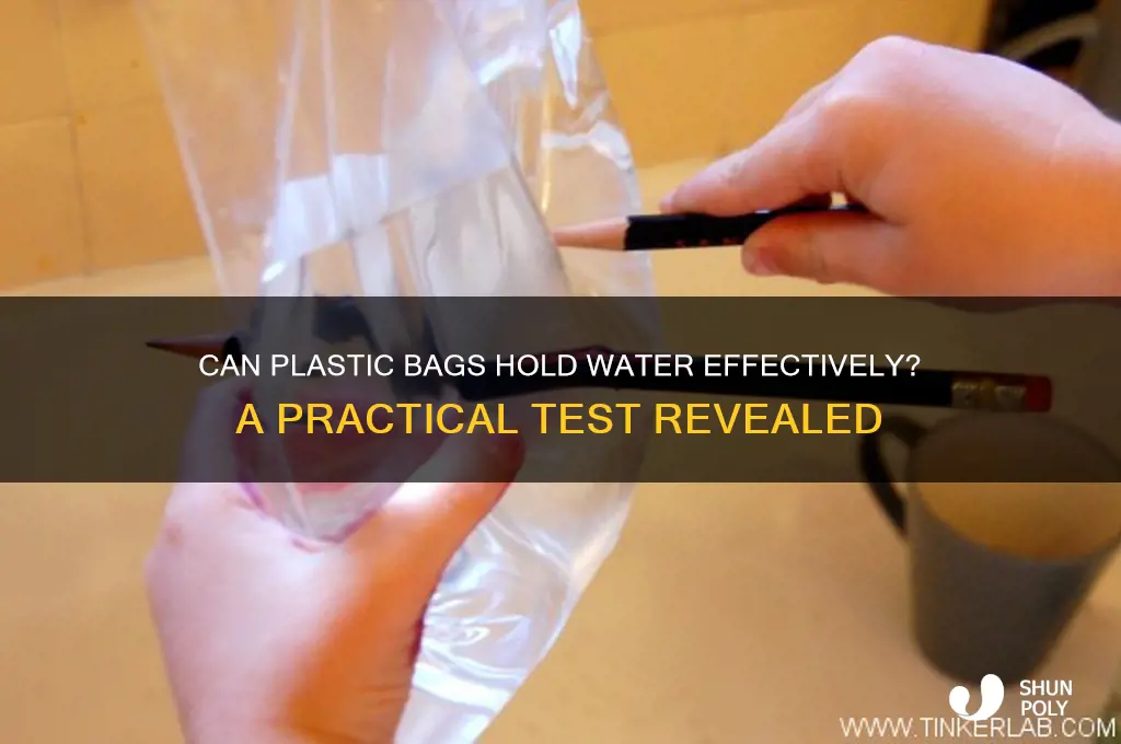 does a plastic bag hold water well