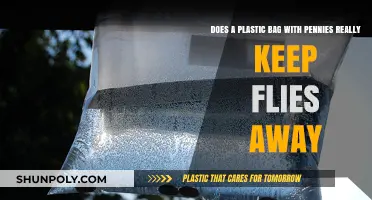 Plastic Bags with Pennies: Effective Fly Repellent or Myth?