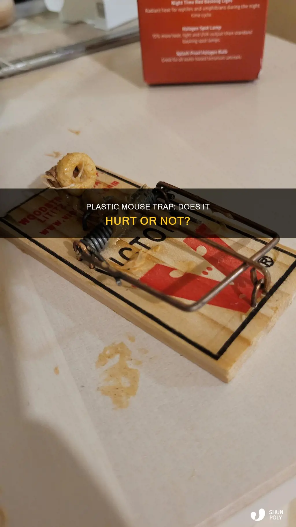 does a plastic mouse trap hurt
