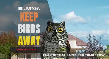 Plastic Owl Power: Effective Bird Deterrent or Useless?