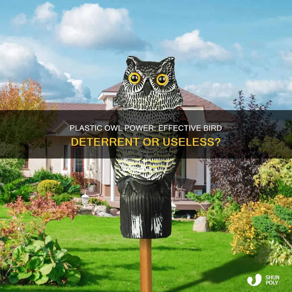 does a plastic owl keep birds away