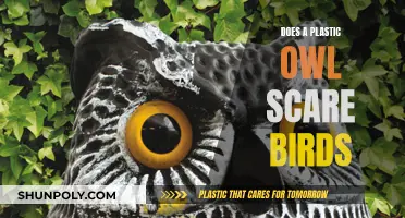 Plastic Owl Effectiveness: Do They Scare Birds?