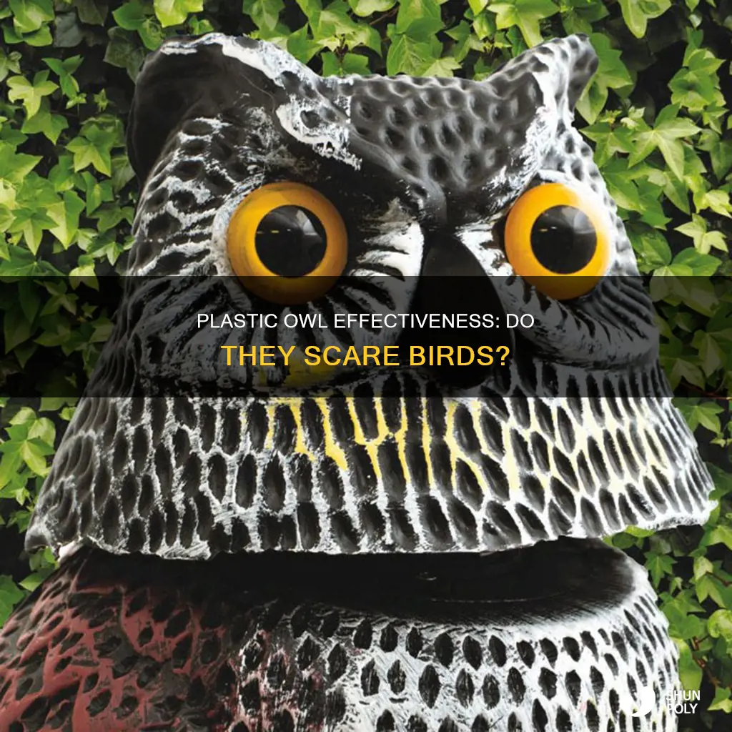 does a plastic owl scare birds