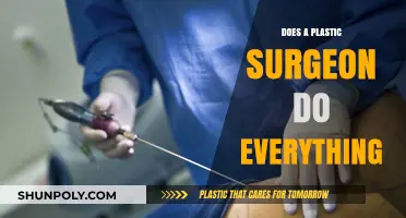 Plastic Surgeon Roles: What Procedures Do They Actually Perform?