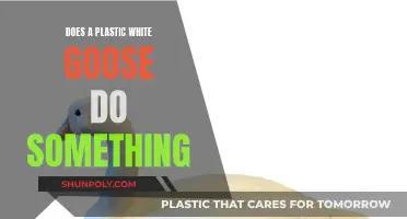 White Plastic Geese: What's Their Purpose?