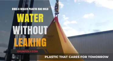 Can Sealed Plastic Bags Hold Water Without Leaking? A Practical Test