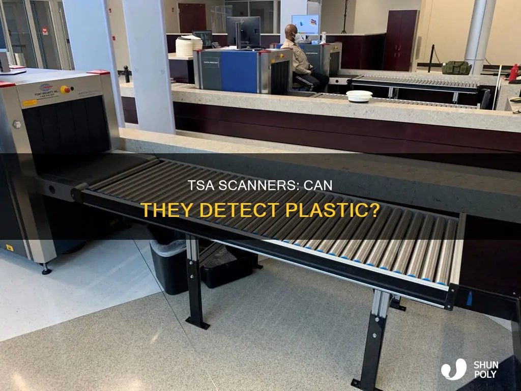 does a tsa security scanner see plastic