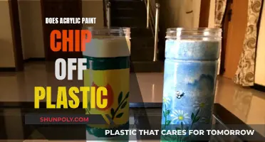 Acrylic Paint on Plastic: Will It Chip?