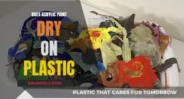 Acrylic Paint on Plastic: Will It Dry?