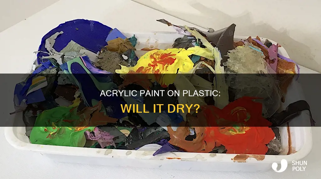does acrylic paint dry on plastic