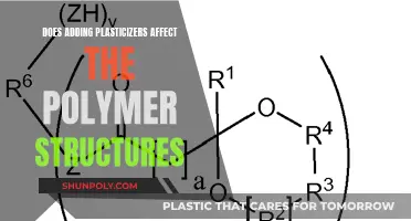Plasticizers' Impact on Polymer Structures: What's the Effect?