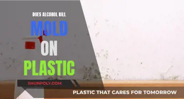 Moldy Plastics: Alcohol's Effectiveness Explored