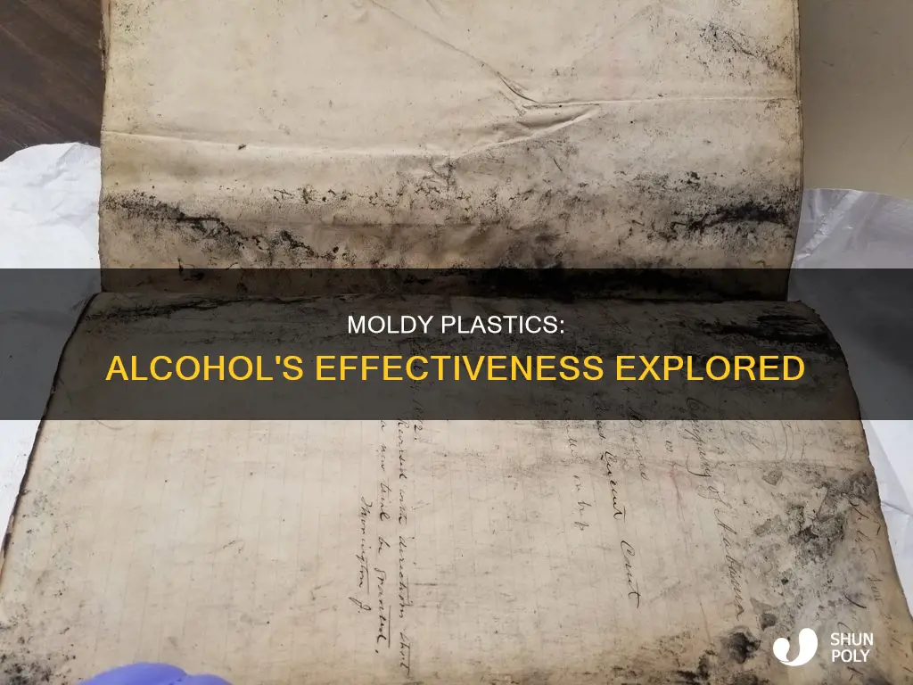 does alcohol kill mold on plastic