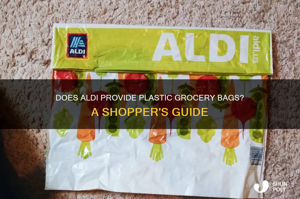 does aldi have plastic grocery bags