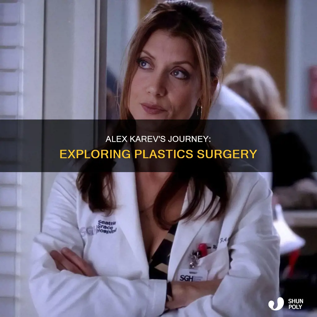 does alex karev go into plastics