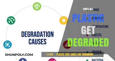 Does All Plastic Truly Degrade? Unraveling the Myth and Reality