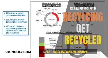 The Truth About Recycling: What Happens to Your Plastic?