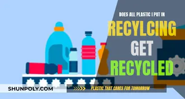 Recycling Plastic: Is All Our Effort Really Worth It?