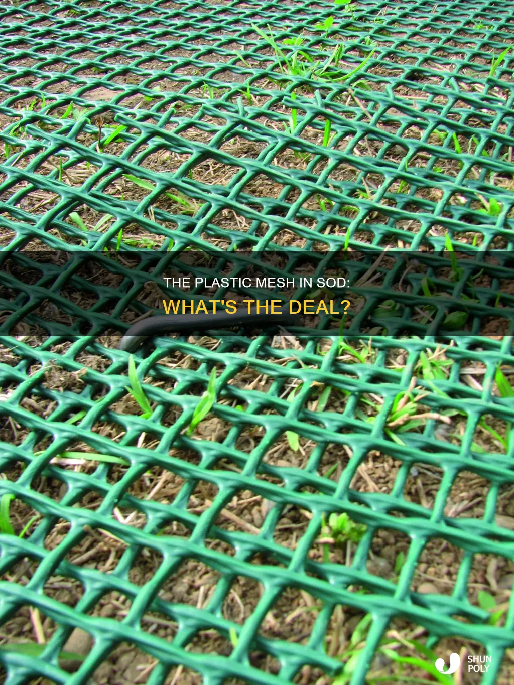 does all sod have plastic mesh