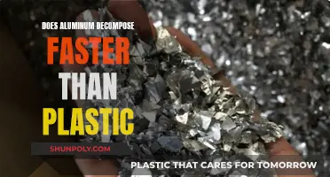Aluminum vs Plastic: Which Decomposes Faster?
