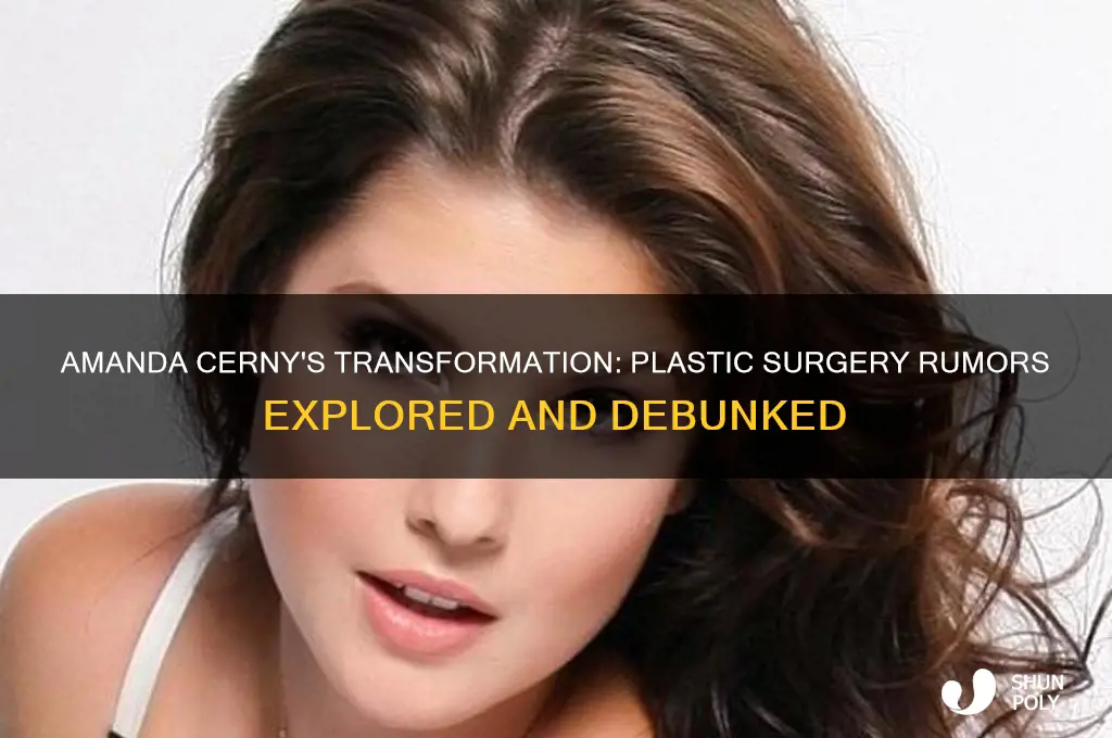 does amanda cerny have plastic surgery