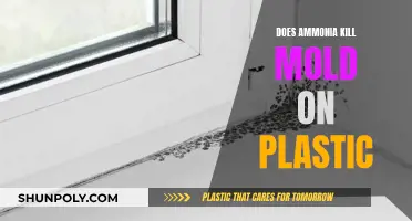 Ammonia's Mold-Killing Power on Plastic: Effective or Not?