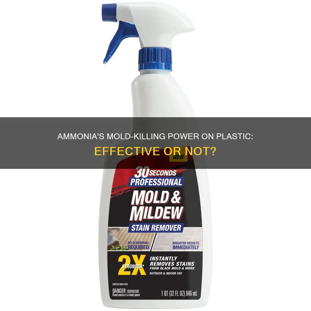 does ammonia kill mold on plastic