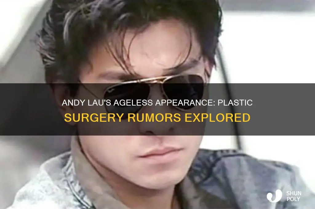 does andy lau have plastic surgery