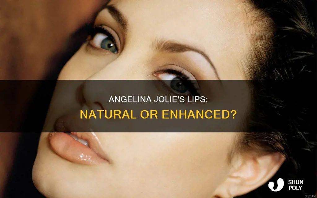 does angelina jolie have plastic lips
