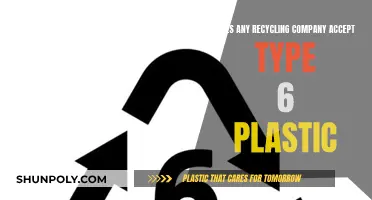 Unraveling the Mystery: Type 6 Plastic Recycling Acceptance