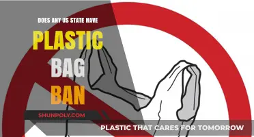 Plastic Bag Bans: Which U.S. States Have Taken Action?