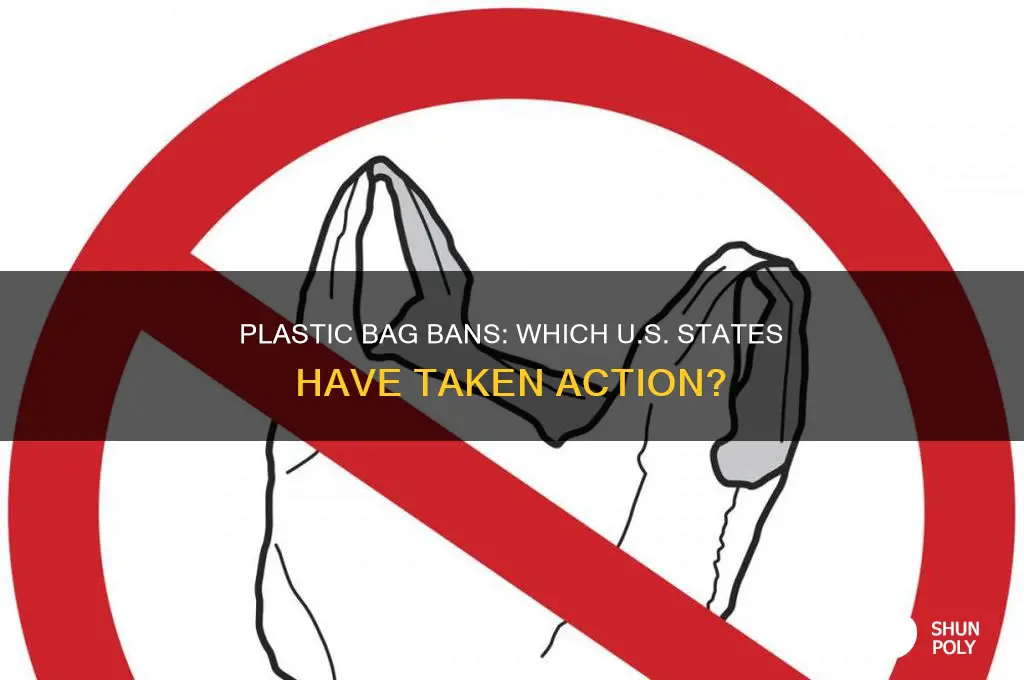 does any us state have plastic bag ban