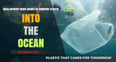 Ocean Plastic Dumping: Profitable or Planet-Destroying Practice?