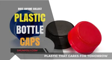 Unveiling the Surprising World of Plastic Bottle Cap Collectors