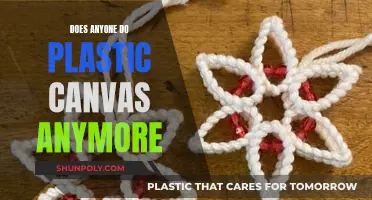 The Lost Art of Plastic Canvas: Who Still Crafts?